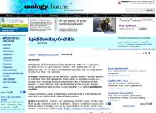 educational article writing sample