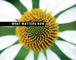 Download e-book: What Matters Now Download the e-book