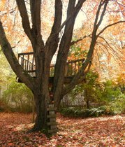 This treehouse gives me a soothing reminder of the joy of taking a break.